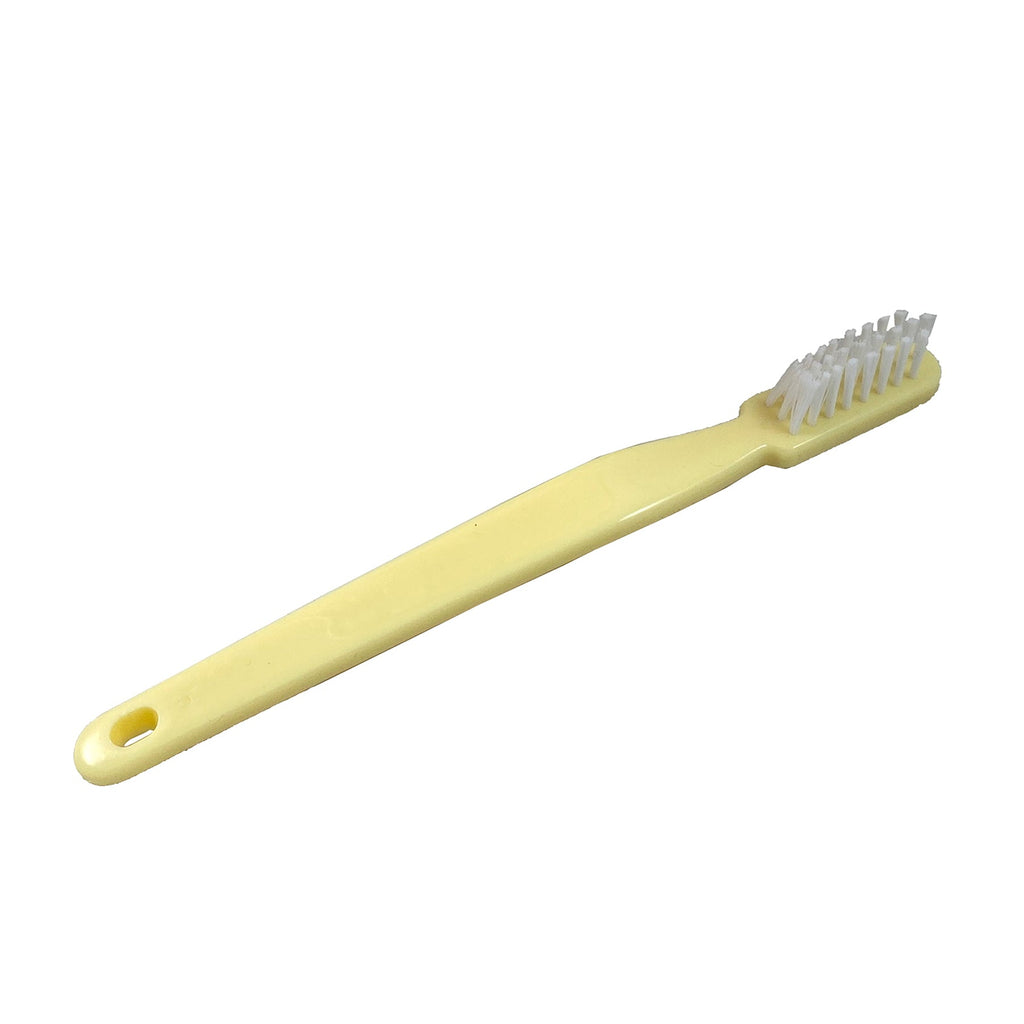 Oral Hygiene Model